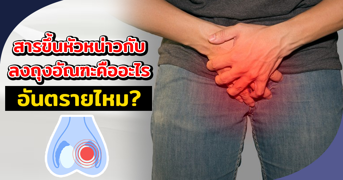 สารเเปลกปลอม
